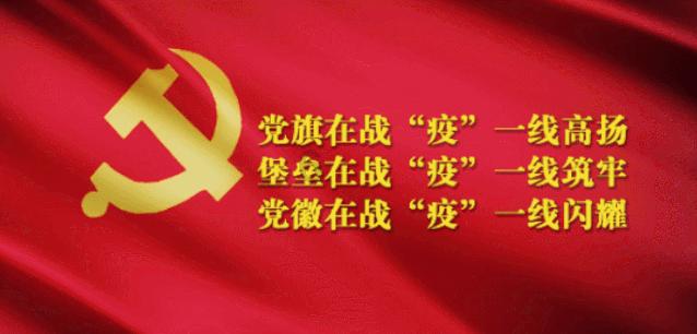 小猫钓鱼游戏龙王版有船